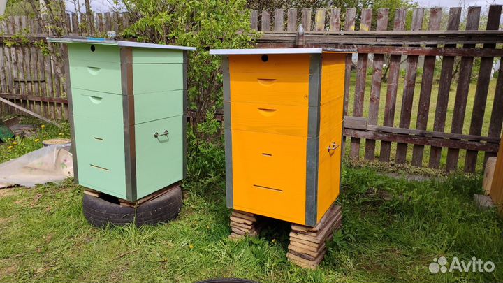 Пчелиный улей