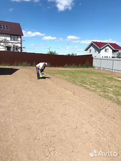 Посевой газон под ключ