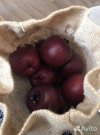 Муляж фркутов