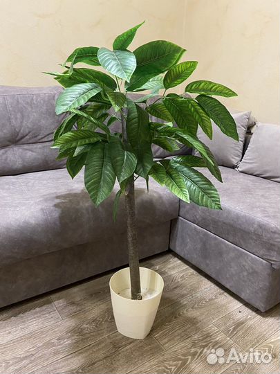 Искусственное дерево Манго