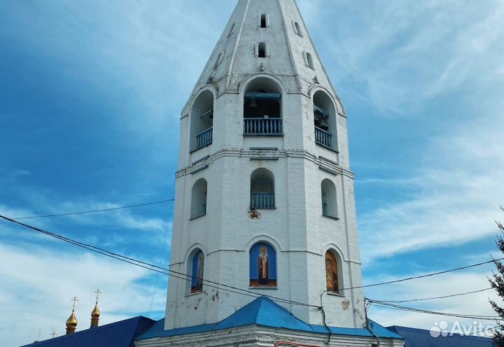 2ноя24 Путешествие со вкусом (3М) /цо3066