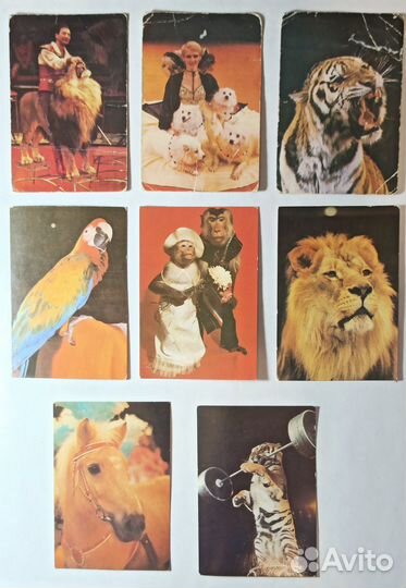 Календарики СССР (цирк)