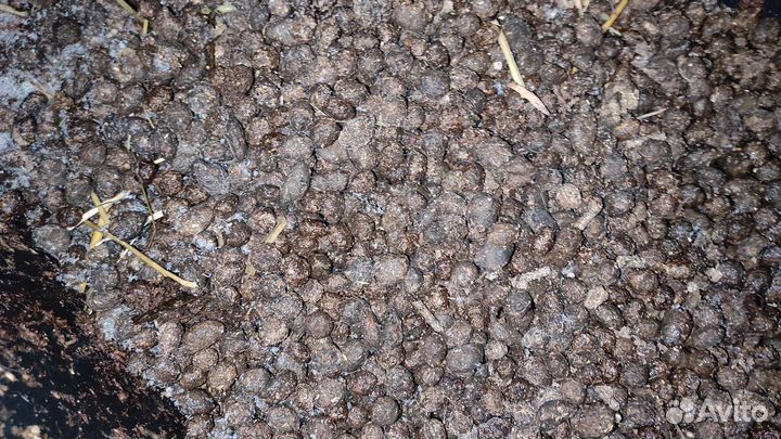 Кроличий навоз или золото в мешках