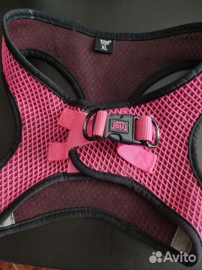 Шлейка для средней собаки