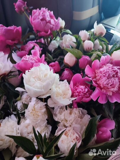 Пион букетом