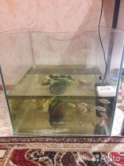 Аквариум 125л. Фильтры aquael