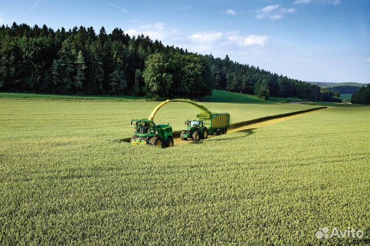 Продам сенаж