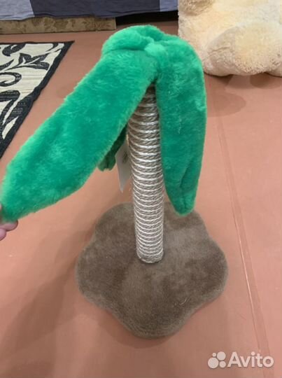 Когтеточка, домик