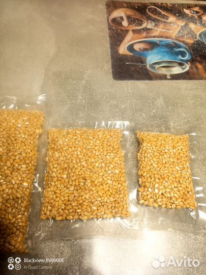 Кедровый орех очищенный