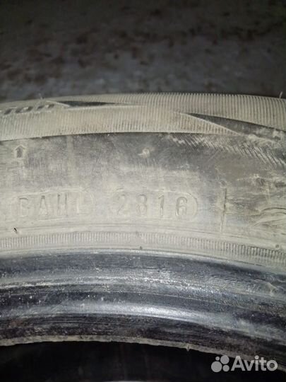 Nexen Winguard Ice SUV 205/55 R16