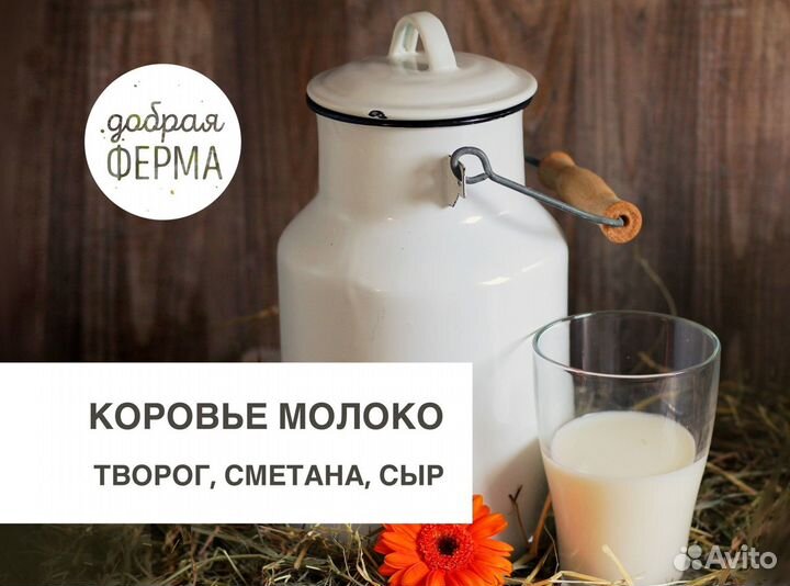 Молоко коровье цельное, доставка