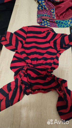 Одежда для мини йорка