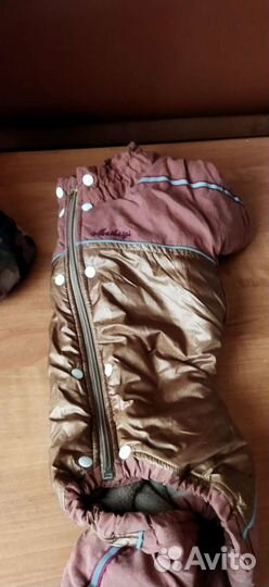 Одежда для собак