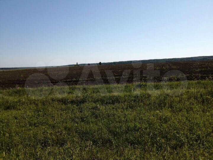 Участок 15 га (СНТ, ДНП)