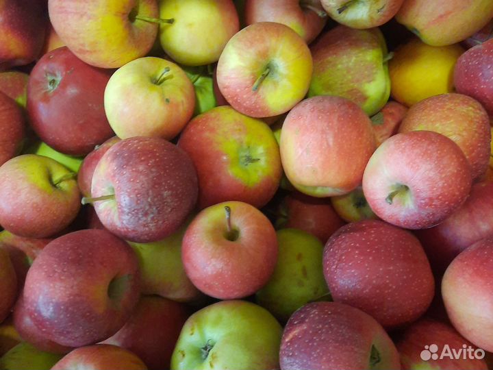 Яблоки сладкие