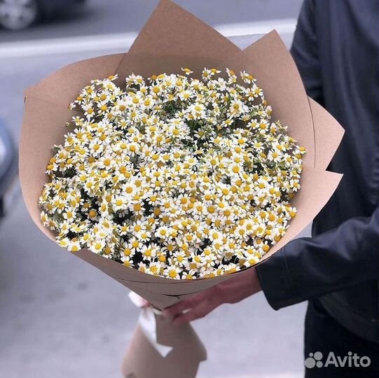 Цветы ромашки. Букеты ромашек. Цветы доставка