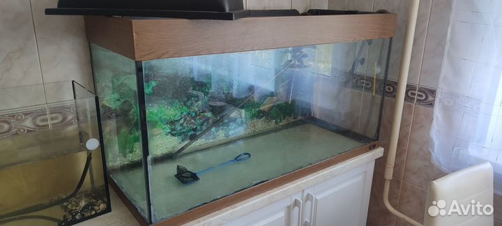 Аквариум