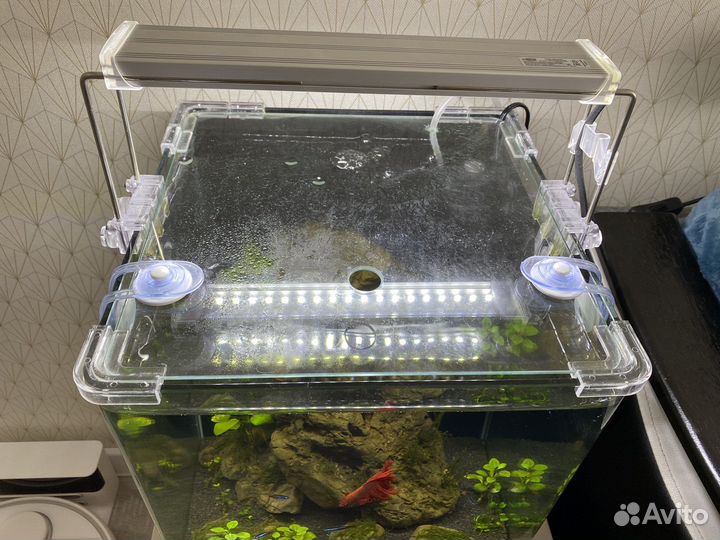 Аквариум Dennerle