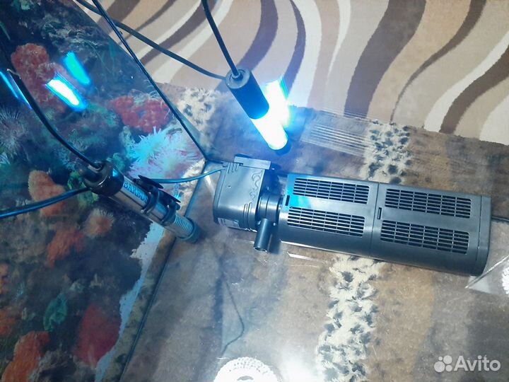 Террариум для красноухой черепахи