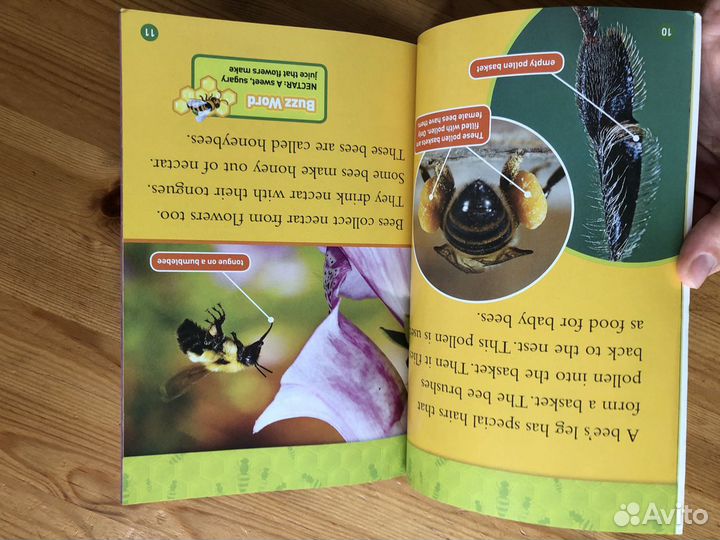 National Geographic Kids Level 2 (english)