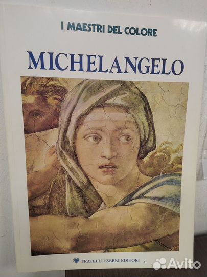 I maestri del colore n.12 Michelangelo