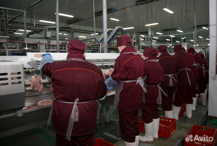 Вахта г.Курск проживание +питание