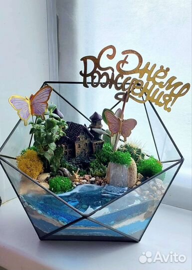 Флорариум суккуленты