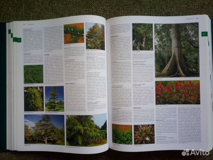 Книга 10 000 Растений Konemann