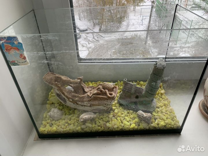 Аквариум