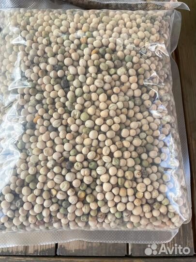 Горох кормовой