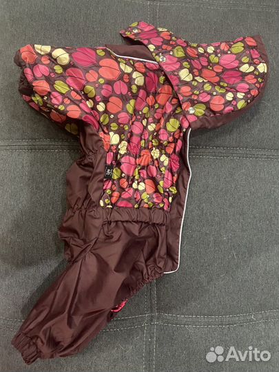 Одежда для собак