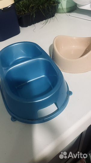 Миска для кошек / собак