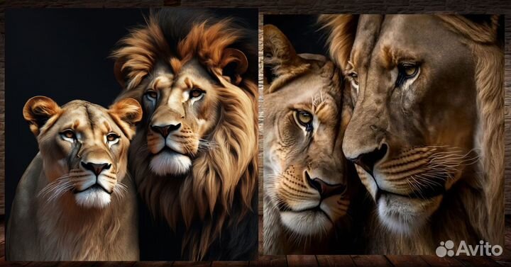 Картина лев и львица на холсте