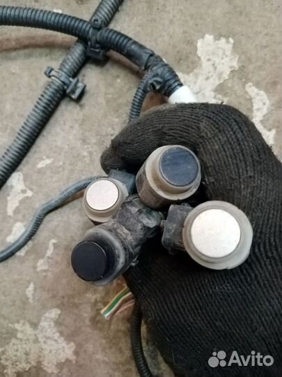 Датчик парковки на Рено Флюенс 2011 год