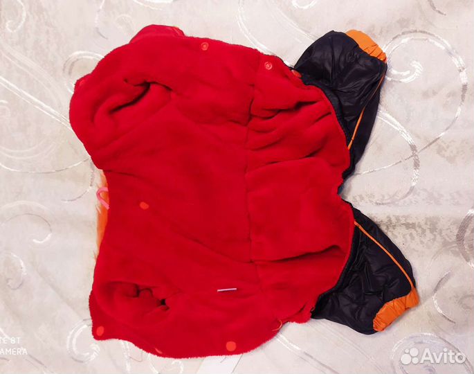 Одежда для собак