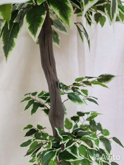 Фикус Изящный цветок искусственный деревья домой