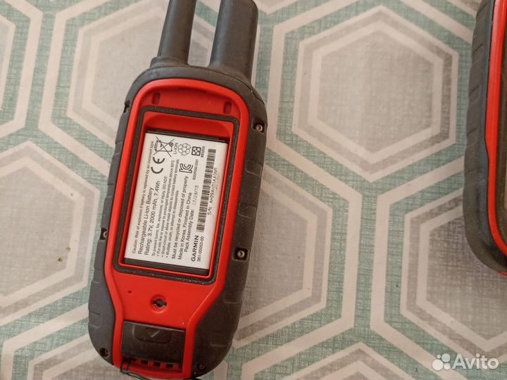 Garmin alpha 100 с ошейником t5