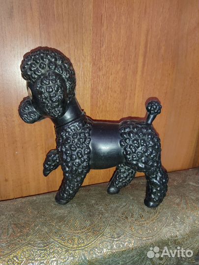 Черный пудель