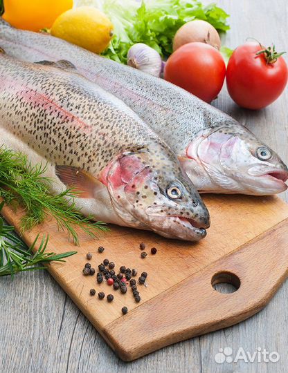 Форель - Карелия опт