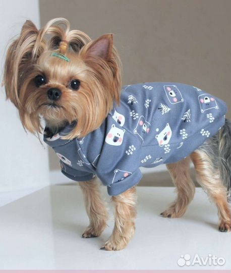 Толстовка для собак