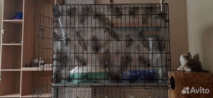 Клетка для животных бу