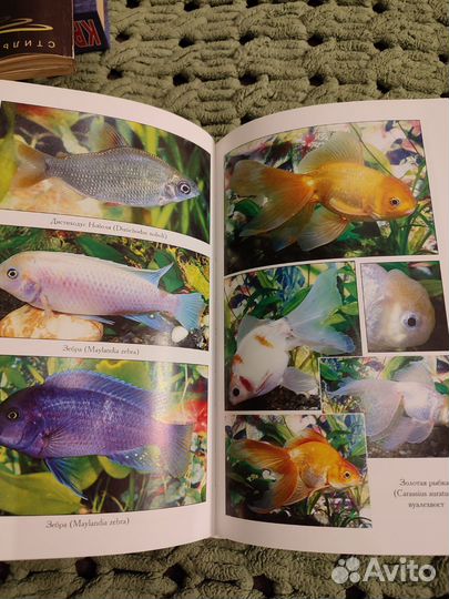 Книги про аквариумных рыб