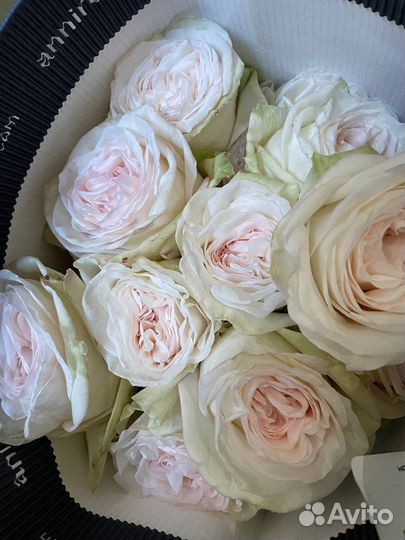 Розы премиум Букет Доставка