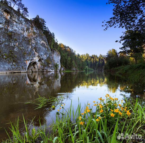 Природный парк Оленьи ручьи