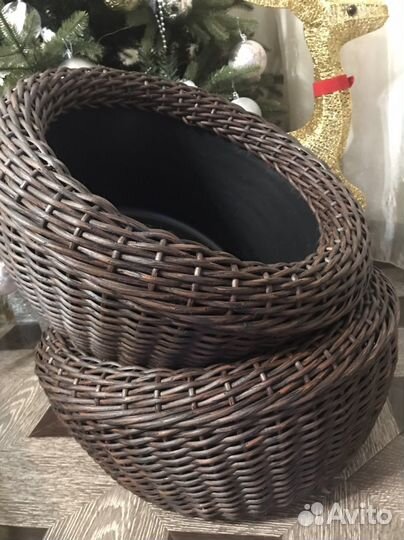 Корзина, кашпо для луковичных растений