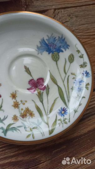 Кофейная пара Бавария Германия Ботаника