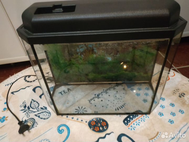 Аквариум