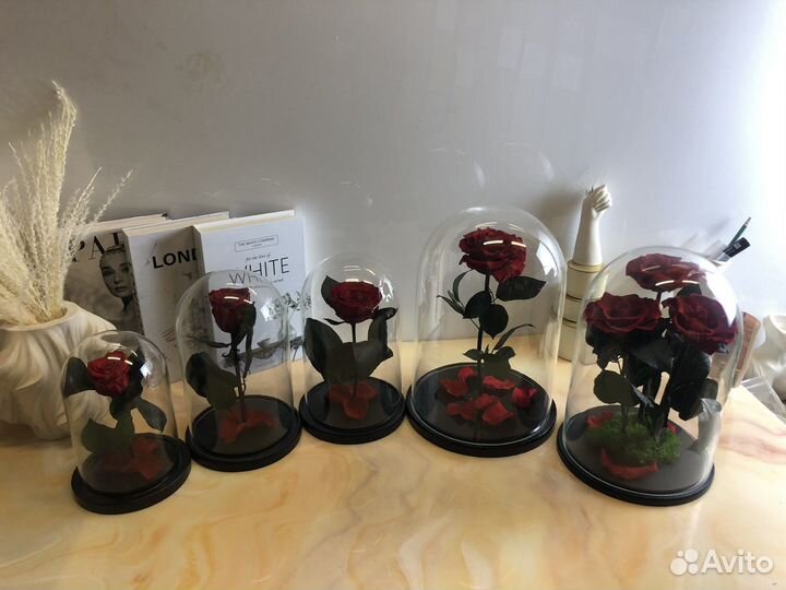 Розы в колбе оптом