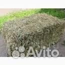 Тюкованное Сено. 2023 г