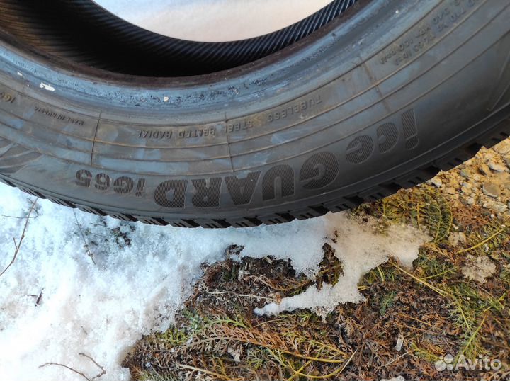 Yokohama Ice Guard IG65 205/60 R16 99T